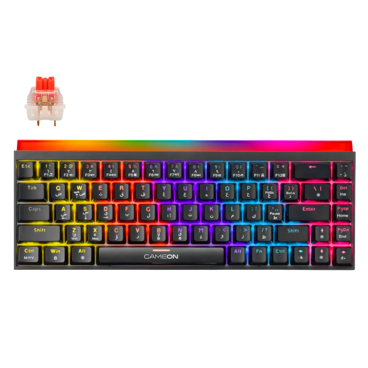 Gameon primex series go-mk260-rs 60% rgb mechanical - keyboards