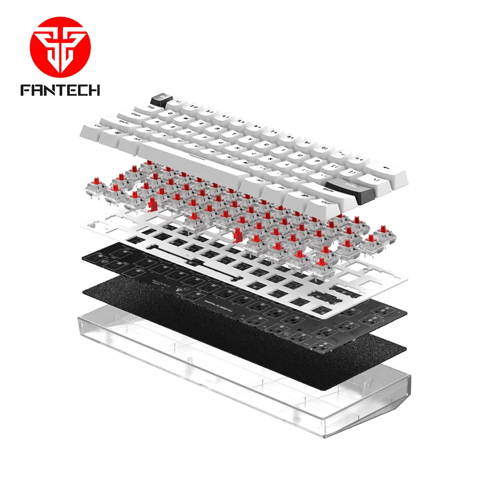 Maxfit61 frost modular mechanical keyboard - keyboard