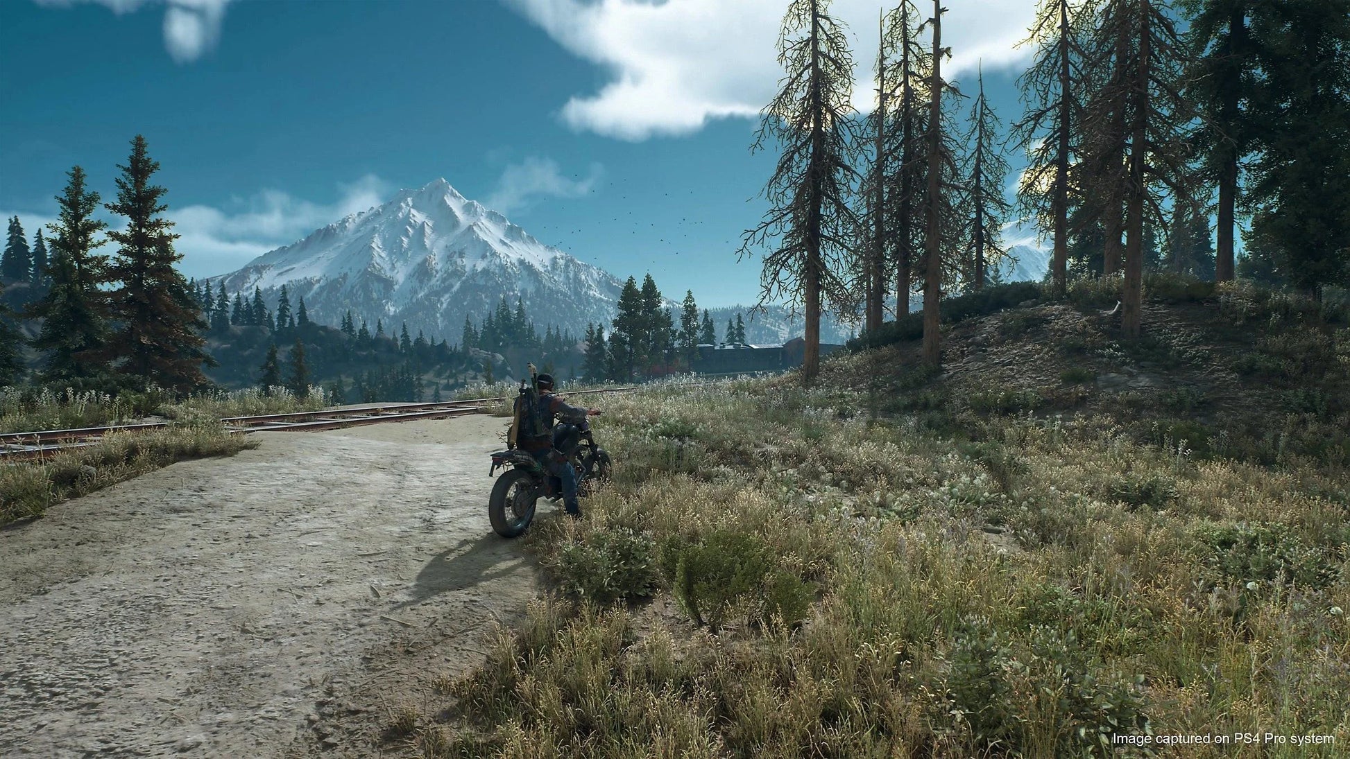 Days gone ps4 - playstation games