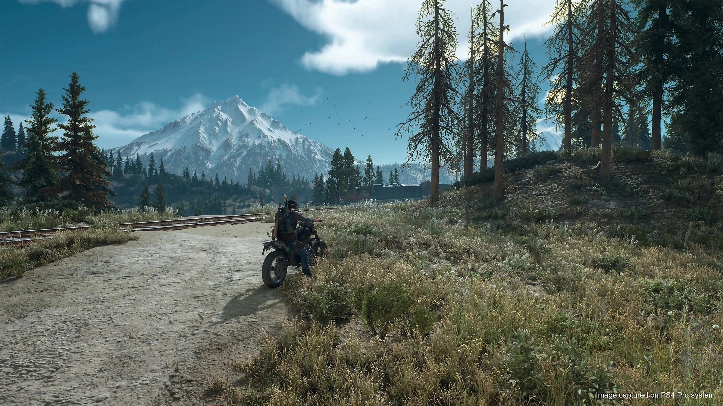 Days gone ps4 - playstation games
